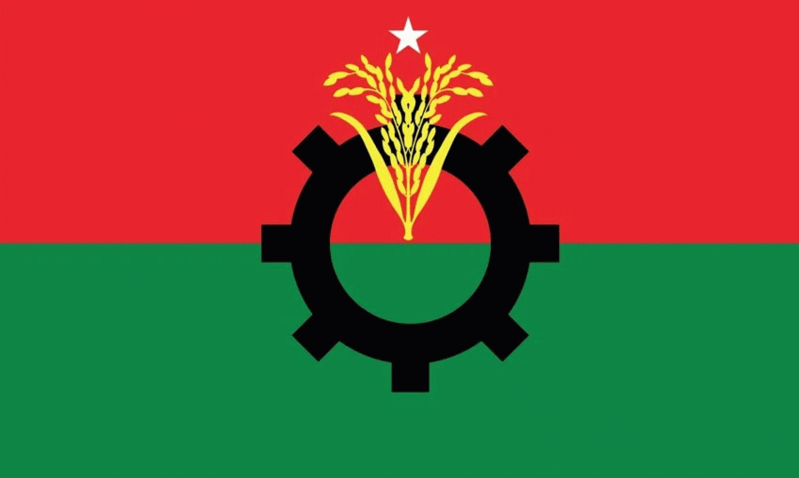 রাষ্ট্রপতি প্রার্থীর মনোনয়নপত্র দুপুরের পর ইসিতে জমা দেবে বিএনপি