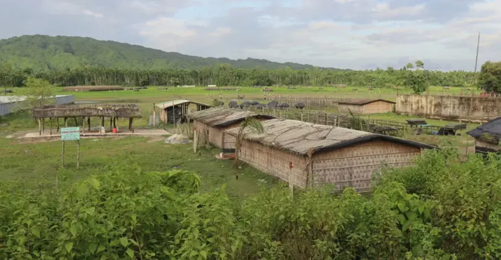 টেকনাফে অপহরণের পর তিনজনকে গলা কেটে হত্যা