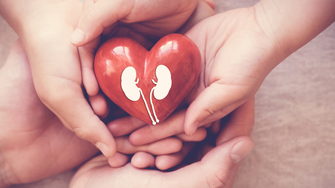 সুস্থ কিডনির রহস্য লুকিয়ে আছে যেসব খাবারে