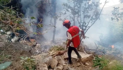কেনিয়ায় হেলিকপ্টার বিধ্বস্তে নিহত ৭
