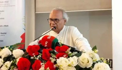 প্রধানমন্ত্রীর বিদেশ সফর নিয়ে উসকানির আভাস পাচ্ছি : রিজভী