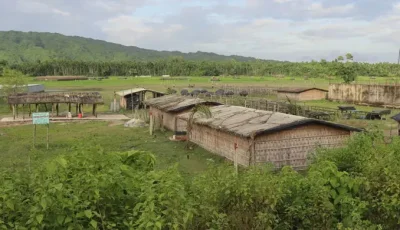 টেকনাফে অপহরণের পর তিনজনকে গলা কেটে হত্যা