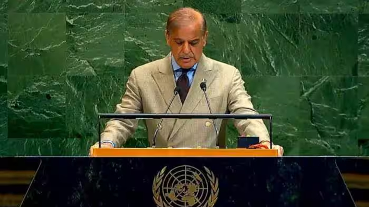 ভারত আমাদের জবাব সবসময় মনে রাখবে : শেহবাজ