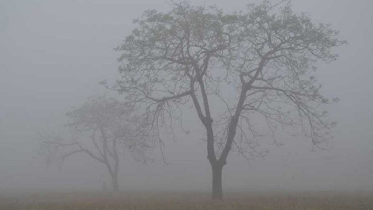 ৪৪ জেলায় শৈত্যপ্রবাহ, অব্যাহত থাকার আভাস